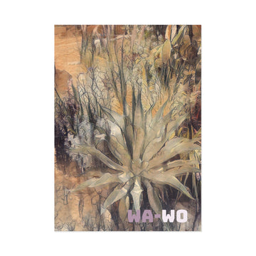 Postcard | Thirsty Succulent - 3